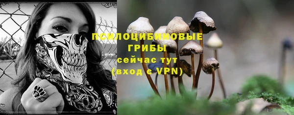 mdpv Куйбышев