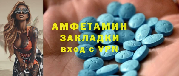 гидра Каменка