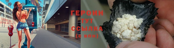 гидра Каменка