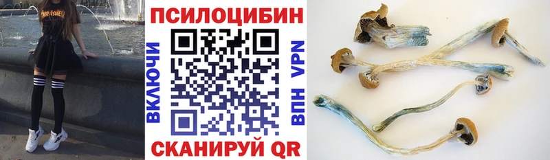 blacksprut как войти  Кировск  Галлюциногенные грибы GOLDEN TEACHER  где купить наркоту 