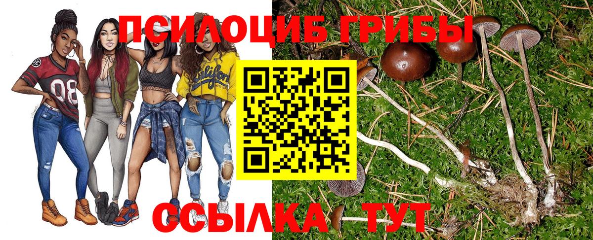 Кировск  Псилоцибиновые грибы Magic Shrooms  где можно купить наркотик  Вход с VPN 